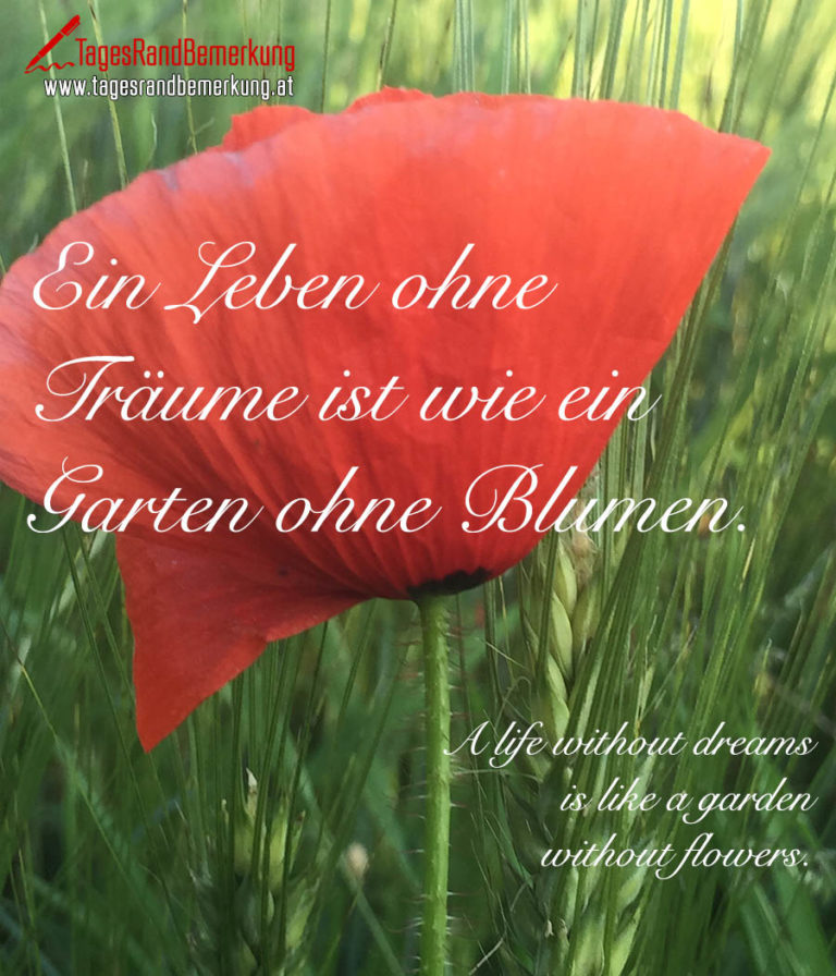 Ein Leben ohne Träume ist wie ein Garten ohne Blumen